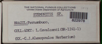 Image Associated With the Occurence